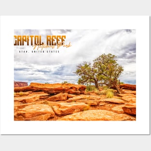 Juniper Tree in Capitol Reef National Park Posters and Art